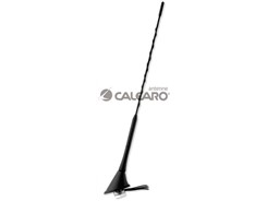 Calearo 16V FM-AM/GSM ANTENNE